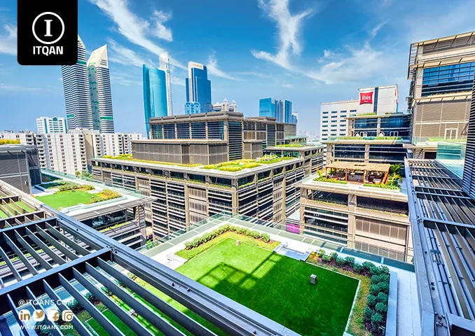Types of Companies You Can Establish in Jebel Ali Mainland